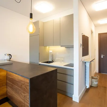 Center Lux Lägenhet Belgrad